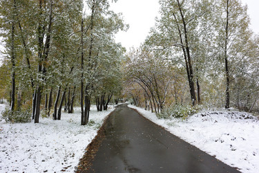 Similar image 21843489