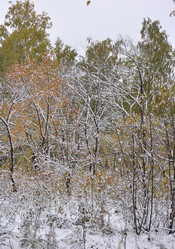 Similar image 21843491