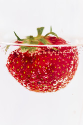 Similar image 21843505