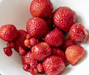 Similar image 21843529