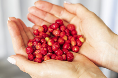 Similar image 21843530