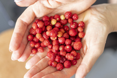 Similar image 21843531