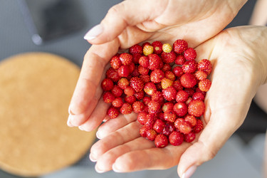 Similar image 21843532