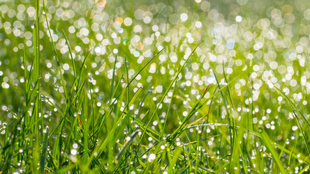 Similar image 21845214