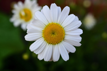 Similar image 21843415