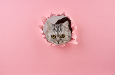 Similar image 21845422