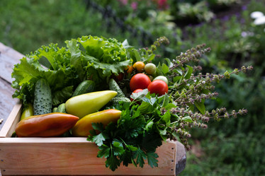 Similar image 21845881