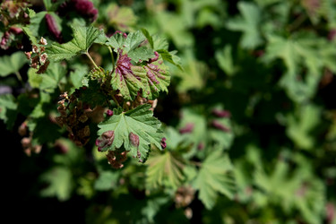 Similar image 21845884