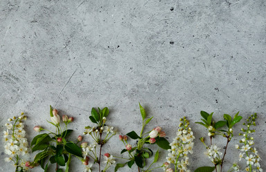 Similar image 21845885