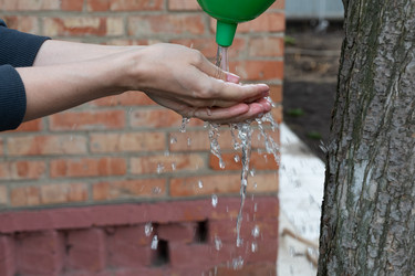 Similar image 21845886