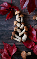 Similar image 21845891