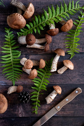 Similar image 21845892