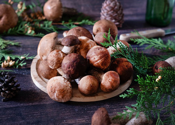 Similar image 21845893