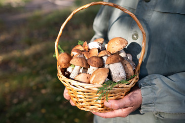 Similar image 21845894