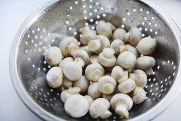 Similar image 21843869