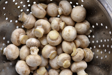 Similar image 21843871