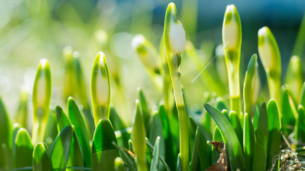 Similar image 21845359