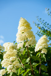 Similar image 21845366