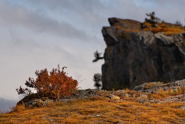 Similar image 21856596