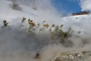 Similar image 21853891