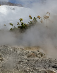 Similar image 21853892