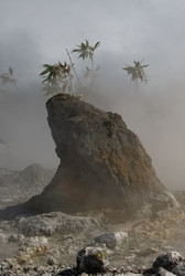 Similar image 21853895