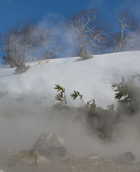 Similar image 21853897