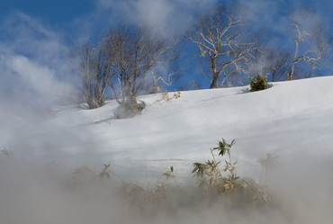 Similar image 21853898