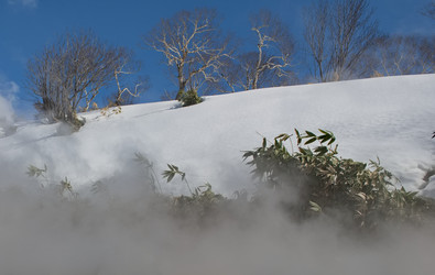 Similar image 21853900