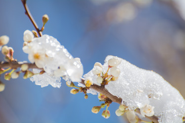 Similar image 21843573