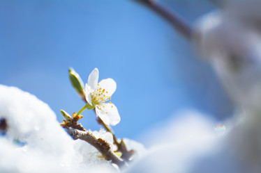 Similar image 21843574