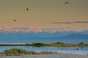 Similar image 21843575