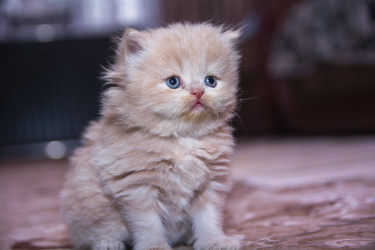 Similar image 21843577