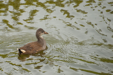 Similar image 21843586