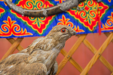 Similar image 21843604