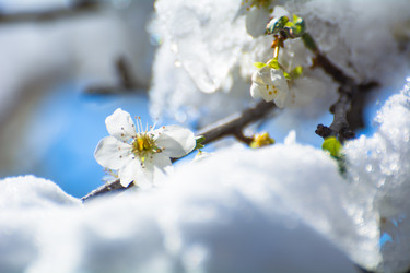 Similar image 21843876