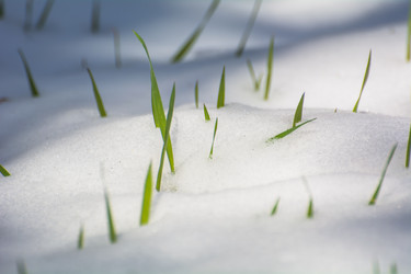 Similar image 21843877