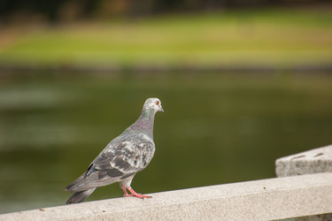 Similar image 21843884