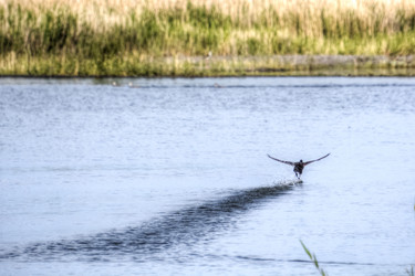 Similar image 21843903