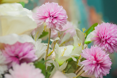 Similar image 21843904