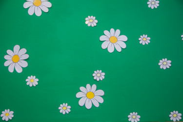 Similar image 21843912