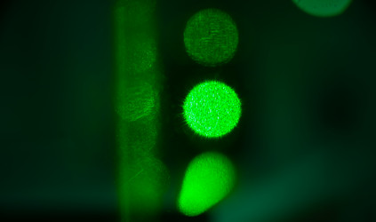 Similar image 21843913