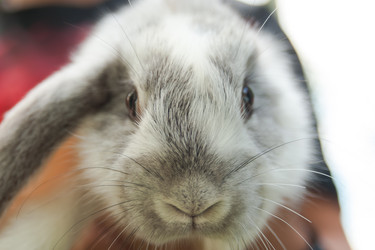 Similar image 21843914