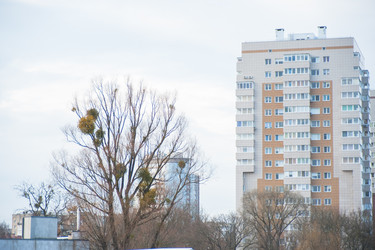 Similar image 21843917