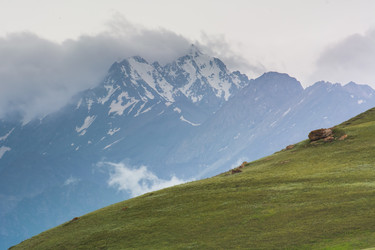 Similar image 21843918