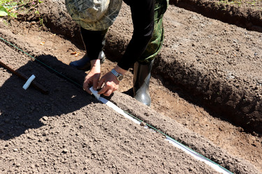 Similar image 21844831