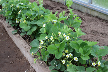 Similar image 21844835