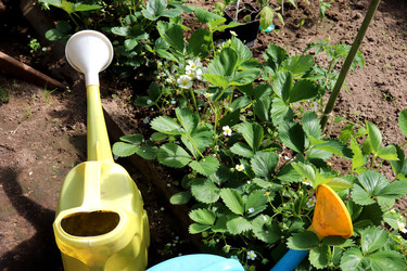 Similar image 21844837