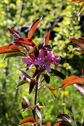 Similar image 21844838