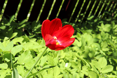 Similar image 21844840